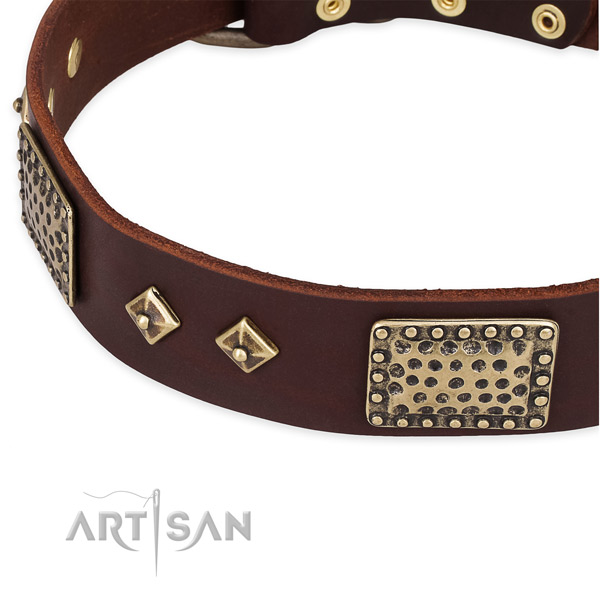 Reliable embellishments on genuine leather dog collar for your doggie