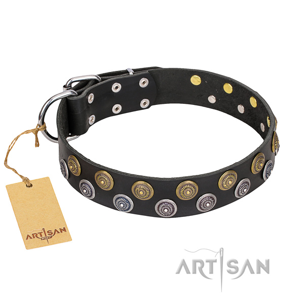 Handy use dog collar of top notch natural leather with studs