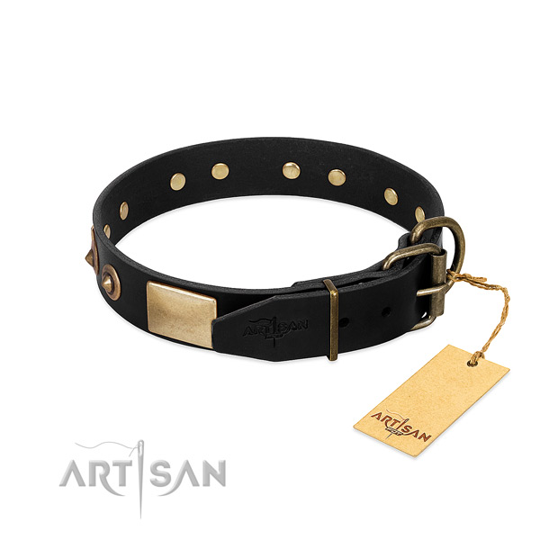 Durable decorations on walking dog collar