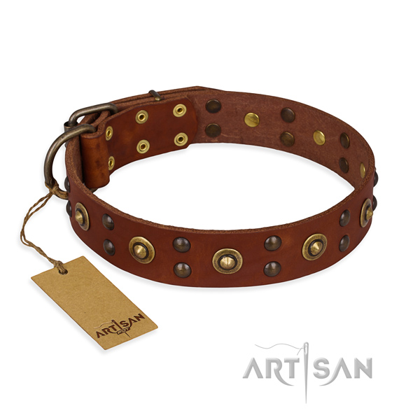 Perfect fit genuine leather dog collar with rust resistant D-ring
