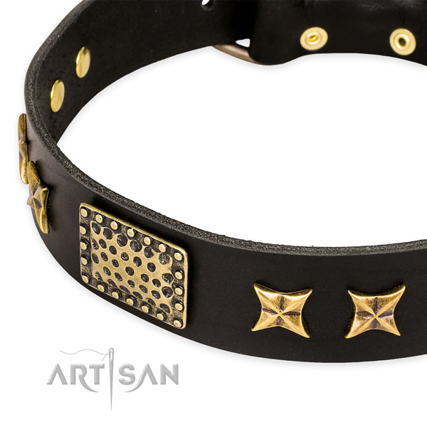Full grain genuine leather collar with durable buckle for your stylish canine