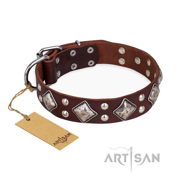 Daily use amazing dog collar with reliable traditional buckle