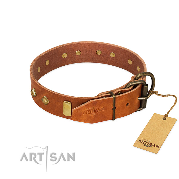 Daily use natural leather dog collar with incredible embellishments