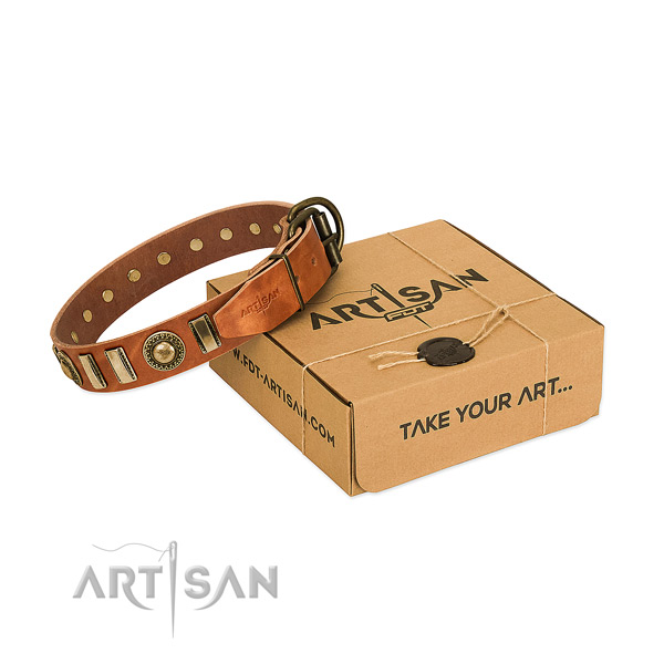 Flexible full grain natural leather dog collar with rust resistant buckle