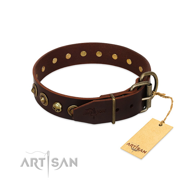 Full grain leather collar with amazing studs for your dog