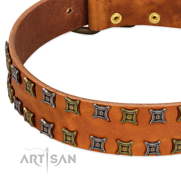 Strong leather dog collar for your stylish canine