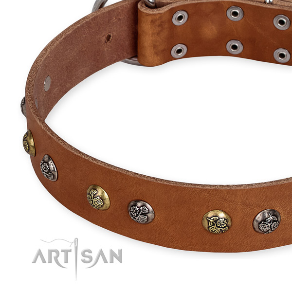 Full grain genuine leather dog collar with significant reliable studs