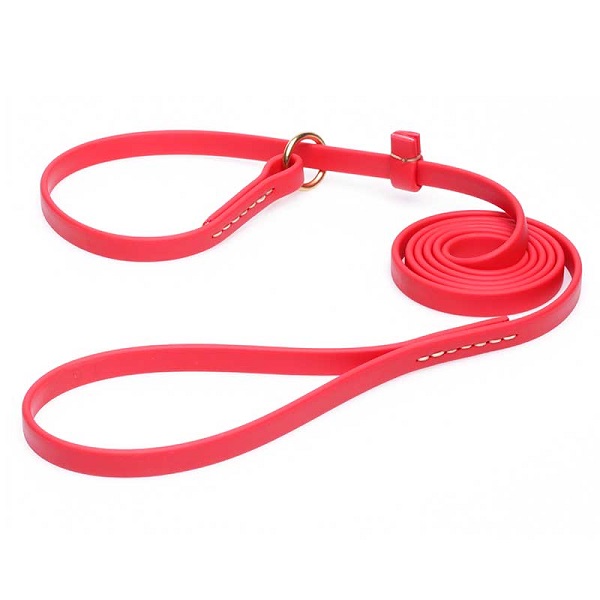 Biothane Dog Leash for Walking