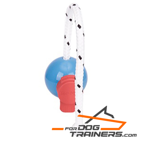 Training dog ball on rope