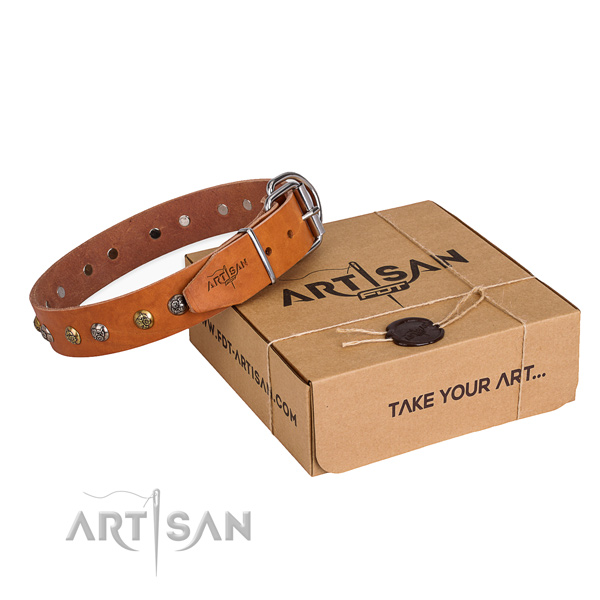 Top notch genuine leather dog collar handmade for daily walking