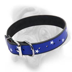 American pride collar