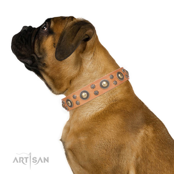 Comfy wearing embellished dog collar of high quality material