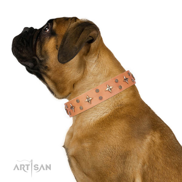 Everyday use embellished dog collar of durable material
