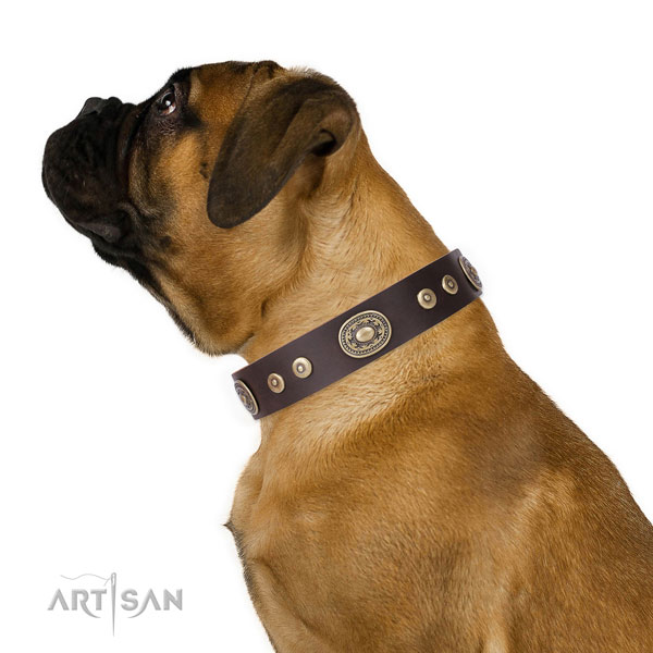 Exquisite adorned genuine leather dog collar for comfortable wearing