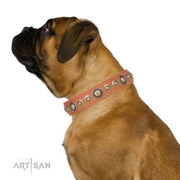 Reliable buckle and D-ring on leather dog collar for stylish walking
