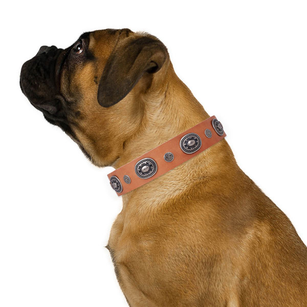 Natural leather dog collar with strong buckle and D-ring for easy wearing