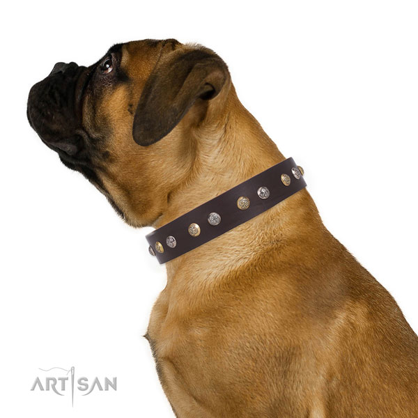 Full grain leather dog collar with durable buckle and D-ring for everyday walking