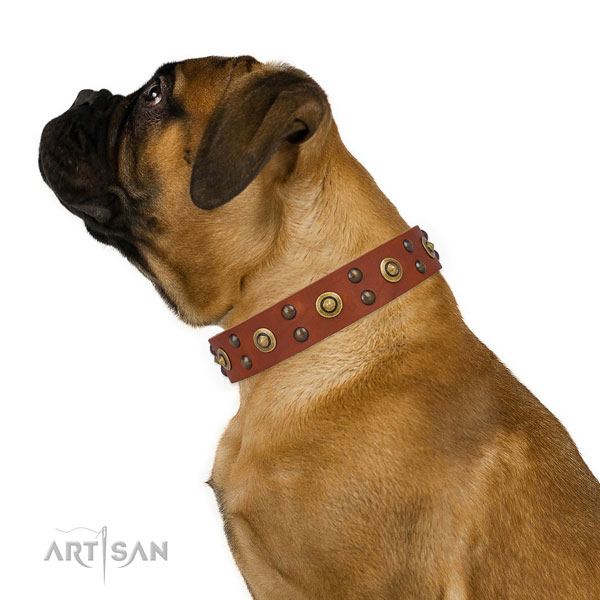 Everyday walking dog collar with unusual adornments