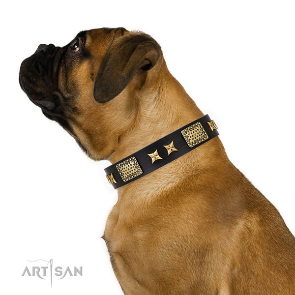 Everyday use dog collar with impressive decorations