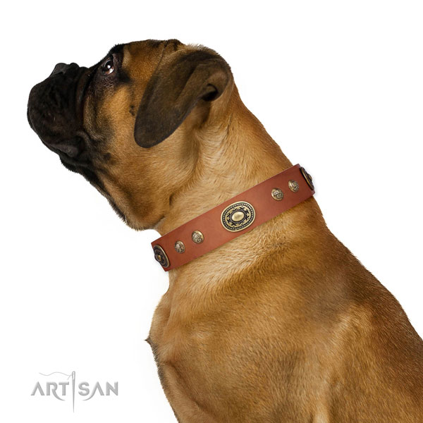 Stylish adornments on comfortable wearing dog collar