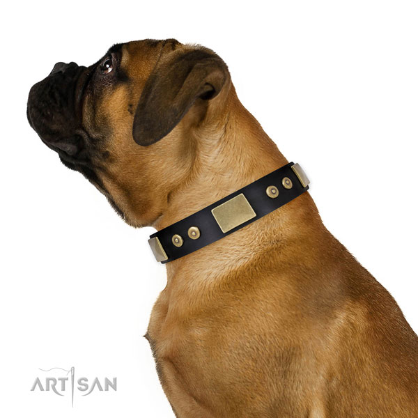 Durable walking dog collar of natural leather