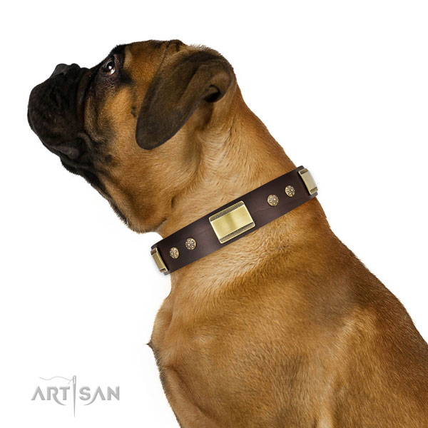 Daily use dog collar of natural leather with inimitable decorations
