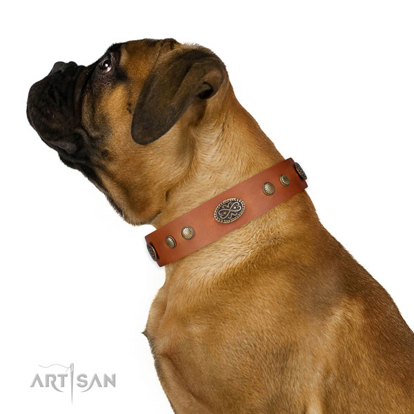 Corrosion resistant buckle on leather dog collar for easy wearing