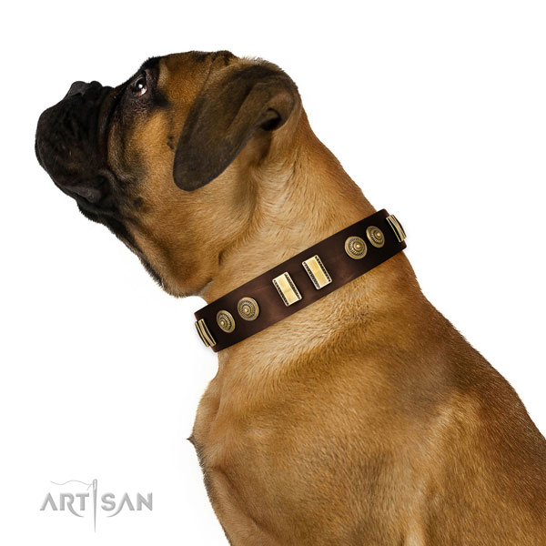 Corrosion resistant traditional buckle on genuine leather dog collar for daily walking