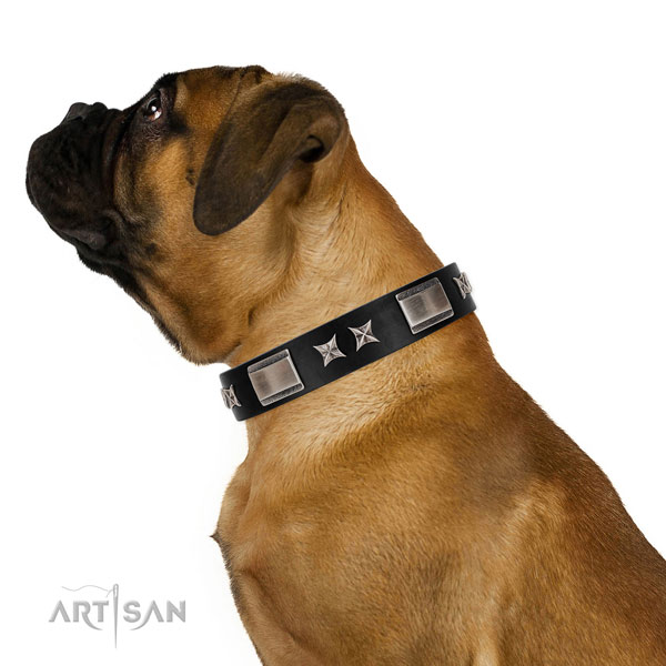 Walking soft natural leather dog collar with adornments
