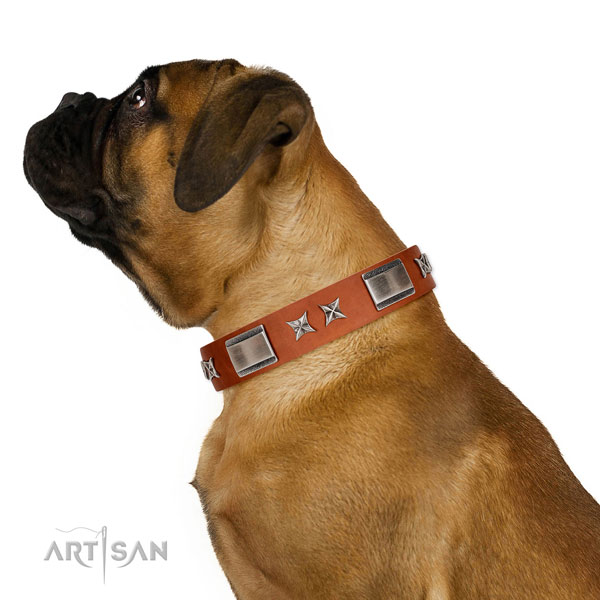 Everyday use gentle to touch natural leather dog collar with adornments