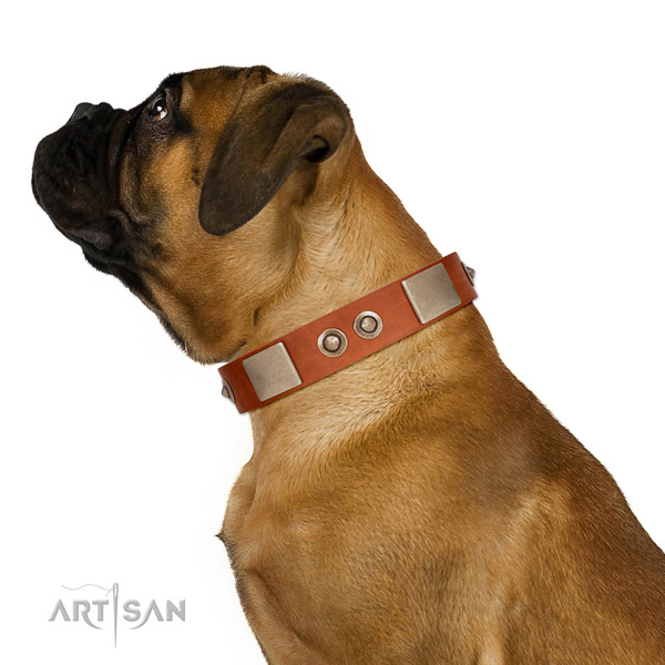 Reliable fittings on leather dog collar for basic training