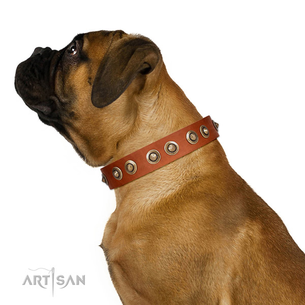 Basic training dog collar of genuine leather with stylish adornments