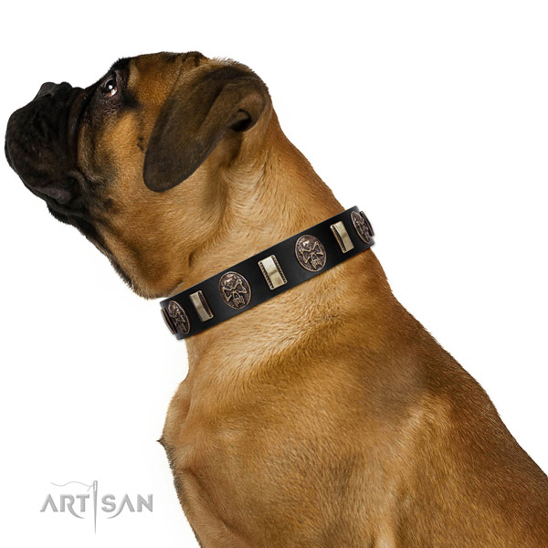 Genuine leather collar with adornments for your attractive four-legged friend