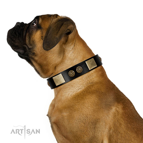 Everyday walking dog collar of leather with exquisite embellishments