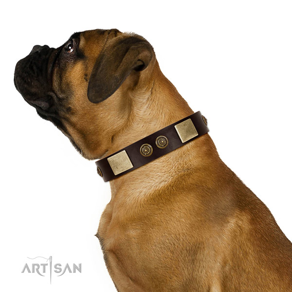 Everyday use dog collar of genuine leather with stunning studs