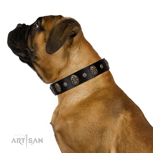 Basic training dog collar of genuine leather with fashionable adornments