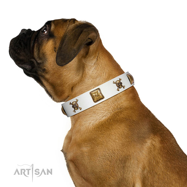 Daily use full grain leather dog collar with decorations