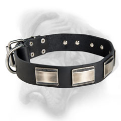 Tremendous leather dog collar for Bullmastiff