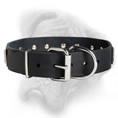 Hand-made dog collar for Bullmastiff