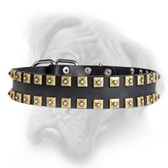 Adjustable Bullmastiff collar with square studs