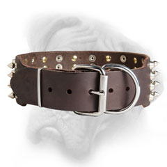 Wide leather Bullmastiff collar easy to adjust