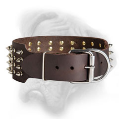 Quality Bullmastiff collar with tough hardware