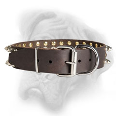 Quality Bullmastiff collar with reliable fittings
