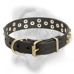 Leather Bullmastiff collar with tough brass fittings