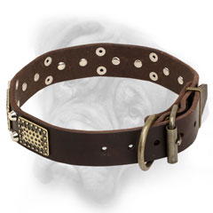 Super durable leather Bullmastiff collar