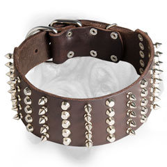 Leather Bullmastiff collar with spikes and studs
