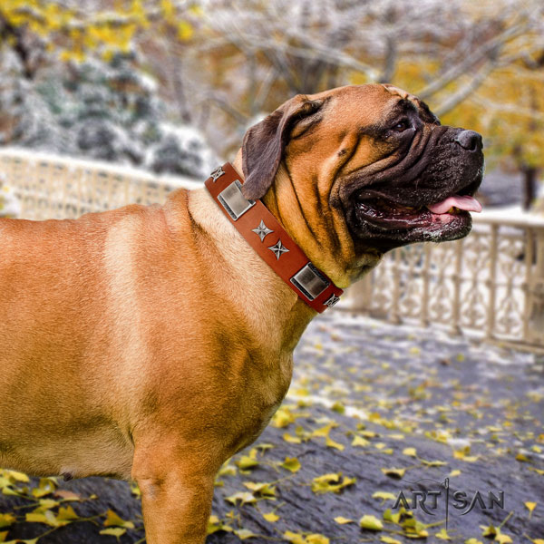 Bullmastiff full grain natural leather dog collar with decorations for your impressive dog