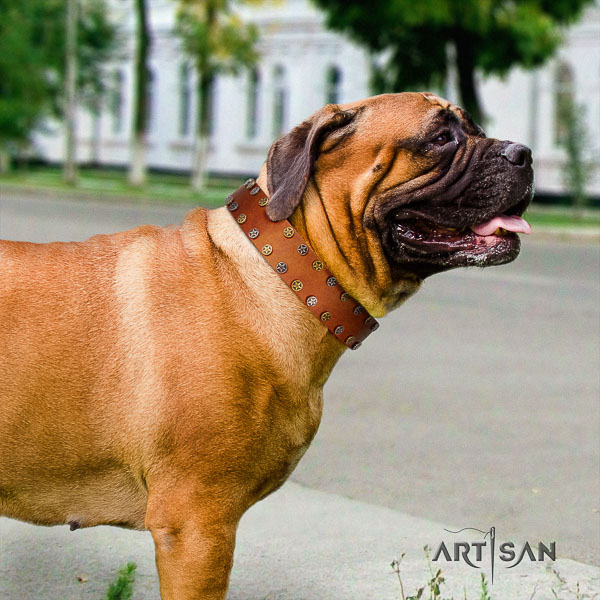 Bullmastiff basic training full grain leather collar with decorations for your canine