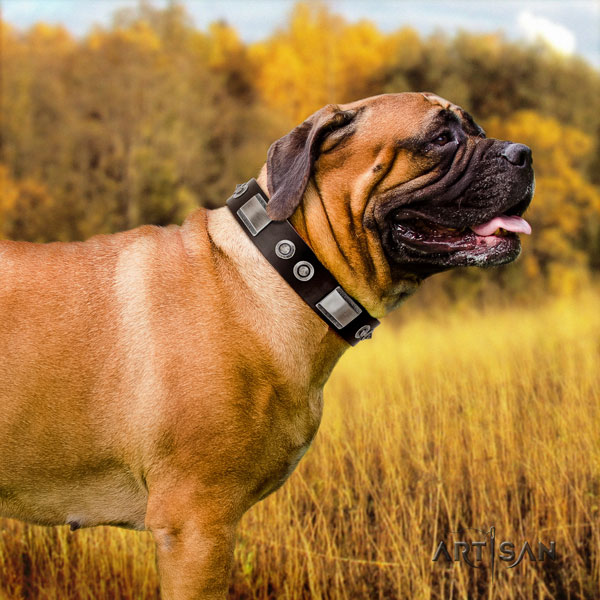 Bullmastiff full grain leather dog collar with adornments for your impressive pet