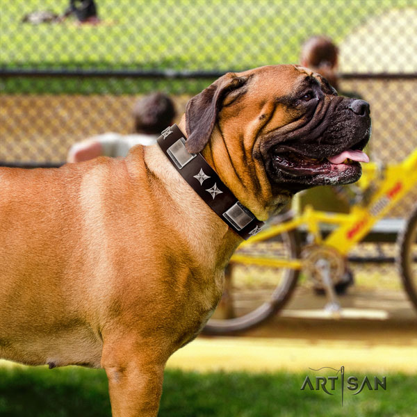 Bullmastiff natural genuine leather dog collar with studs for your beautiful canine